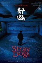  Бродячие псы 