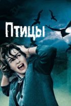  Птицы 