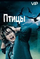  Птицы 