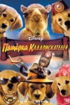  Пятерка кладоискателей 