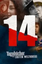  Дневники великой войны 