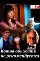  Котов обижать не рекомендуется 