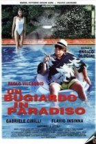  Мошенник в раю 