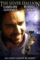  Серебряный ветер 