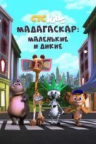  Мадагаскар: Маленькие и дикие 