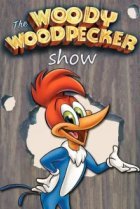  Приключения Вуди и его друзей 