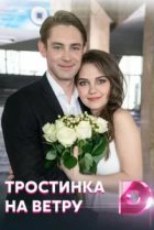  Тростинка на ветру 