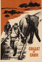  Солдат и слон 