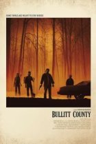  Сокровища округа Буллиттов 