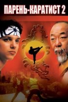  Парень-каратист 2 