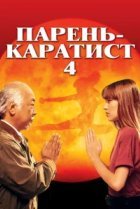  Парень каратист 4 