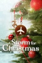  Рождественская буря 