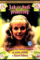  Как разбудить принцессу 