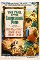  Тропинка одинокой сосны 