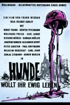  Собаки, хотите жить вечно? 