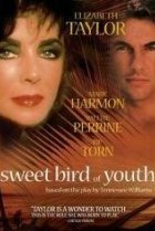  Сладкоголосая птица юности 