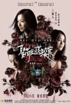  Роковой визит 