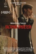  Ласточки прилетели 