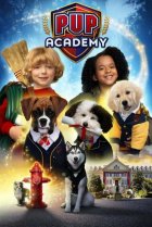  Щенячья академия 