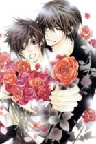  Лучшая в мире первая любовь 