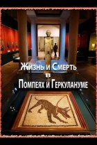  Жизнь и смерть в Помпеях и Геркулануме 