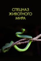  Спецназ животного мира 