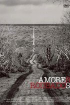  Украденная любовь 