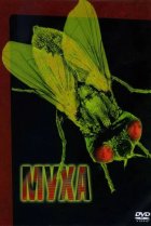  Муха 