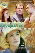  Продается кошка 