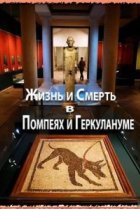  Жизнь и смерть в Помпеях и Геркулануме 