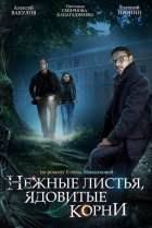  Нежные листья, ядовитые корни 