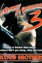  Не отступать и не сдаваться 3: Братья по крови 