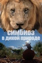  Симбиоз в дикой природе 