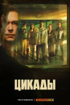  Цикады 
