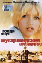  Шугарлендский экспресс 