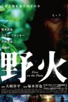  Пожары на равнинах 