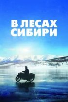  В лесах Сибири 