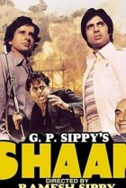  Красивая жизнь 