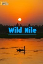  Дикий Нил 