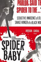  Паучонок, или Безумнейшая история из когда-либо расказанных 