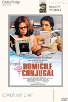  Семейный очаг 