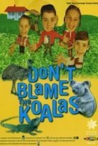  Коалы не виноваты 