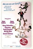  Что нового, кошечка? 