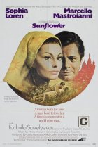  Подсолнухи 