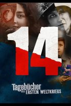  Дневники великой войны 