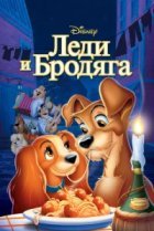  Леди и бродяга 