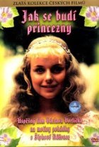  Как разбудить принцессу 