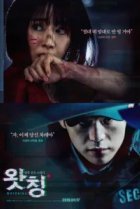  Наблюдающий 