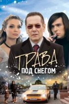  Трава под снегом 