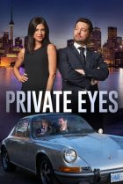  Частные сыщики 